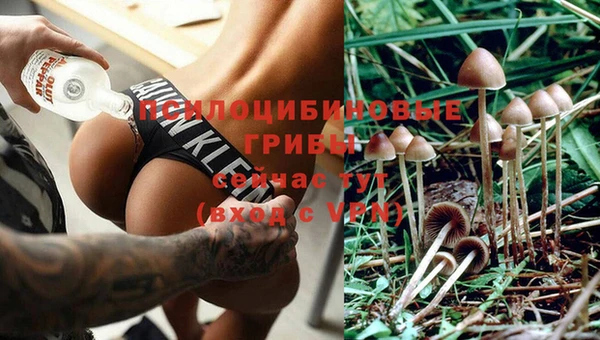 каннабис Зеленокумск