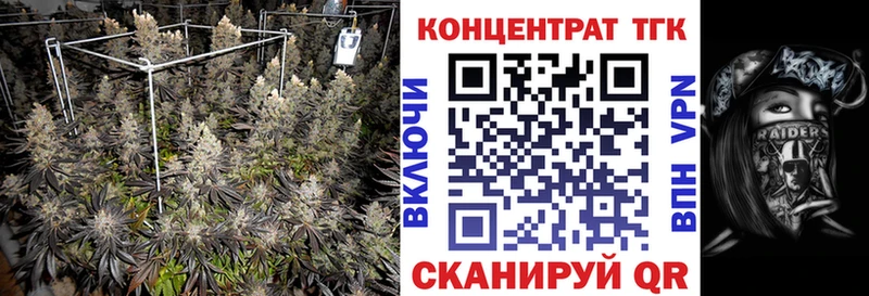 mega ссылка  Велиж  ТГК концентрат 